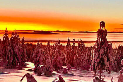 Einfach magisch! Die Sonnenuntergänge im schwedischen Lappland