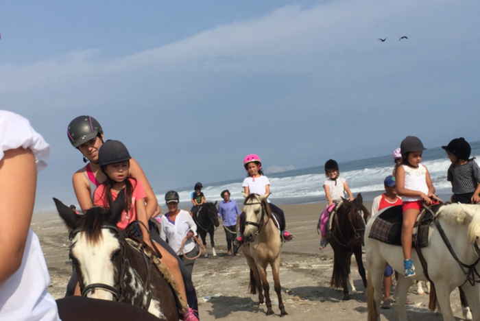 Pferde-Therapie in Peru